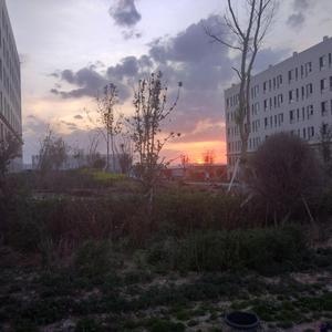 三级插逼合集视频
