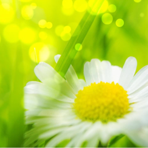 三级插逼合集视频
