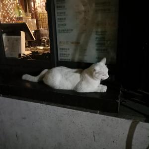 三级插逼合集视频
