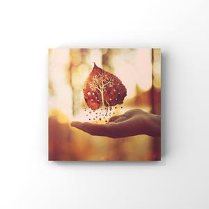 三级插逼合集视频
